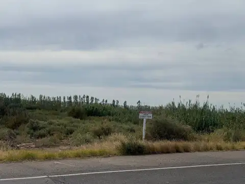 Ruta 60 y  la 100