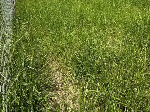 Terreno en Venta en Parque Exaltacion, USD 43.000