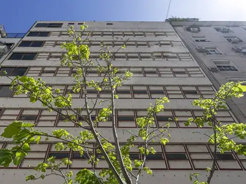 Suipacha y Arroyo