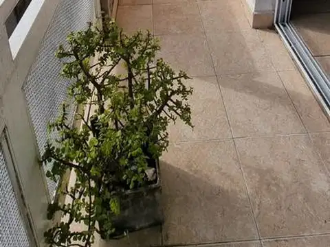 Departamento de 4 Amb   Cochera - Florida