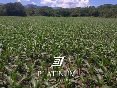 Lote A 8 Finca ojo de