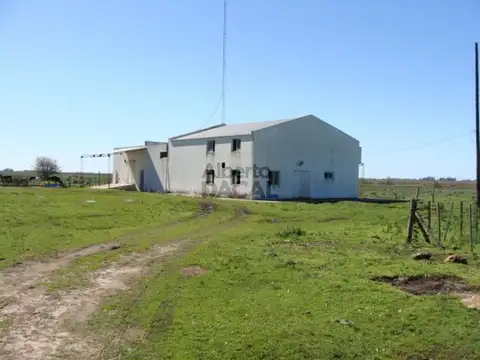 Campo en Venta en Arditi Magdalena - Alberto Dacal Propiedades