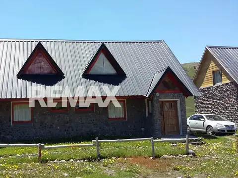 Los Piñoneros 100