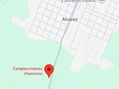 Alvarez  - Campo 5 ha