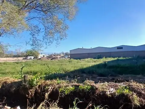 San Francisco del Monte 1000
