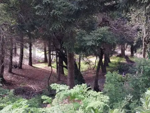 VENTA TERRENO SAN MARTIN DE LOS ANDES .  ALIHUEN ALTO