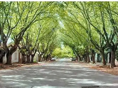OPORTUNIDAD COMERCIAL - Alquiler CHACRAS DE CORIA