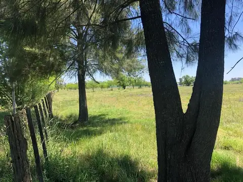 CHACRAS EN VENTA MERCEDES 1 HECTAREA A METROS DE LA RUTA 41