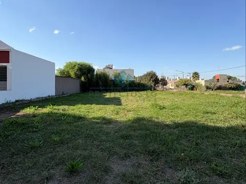 VENTA-LOTE ESQUINA 325 M²- CALLE 11, COLONIA CAROYA