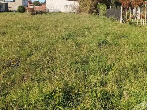 Terreno en Venta 10  mts Frente
