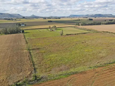 Balcarce - 10 ha. Agricola con vista a las sierras