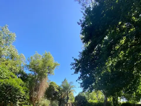 Quinta en Venta en Zárate, USD 90.000