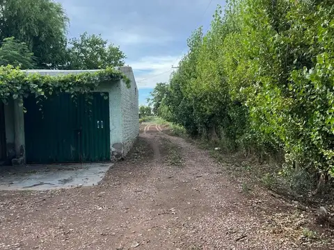venta finca en produccion chapanay