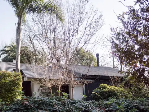 Alejandro Vitale 500