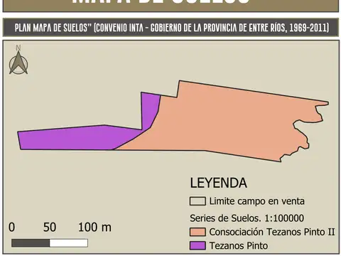 Campo Mixto. 39 Hectáreas. Tezanos Pinto, Paraná. Entre Ríos