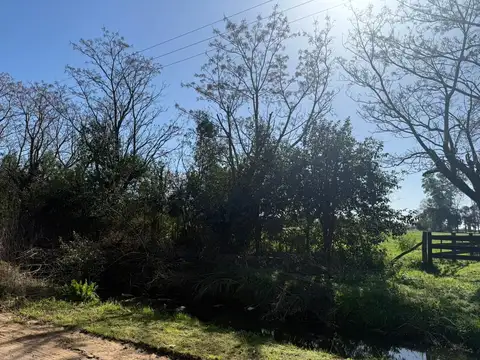 Terreno - Venta - Argentina, Lobos