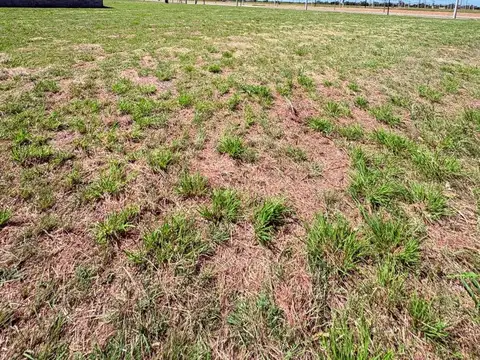 Terreno en Venta de 361,0 m2