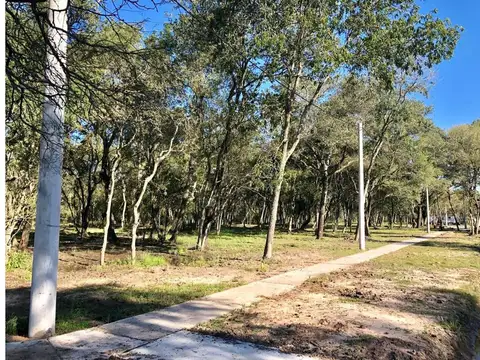 Terreno en Venta de 250,0 m2