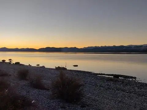 Modesta victoria 9700