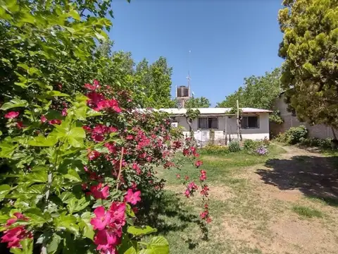 Godofredo Paladini 2400