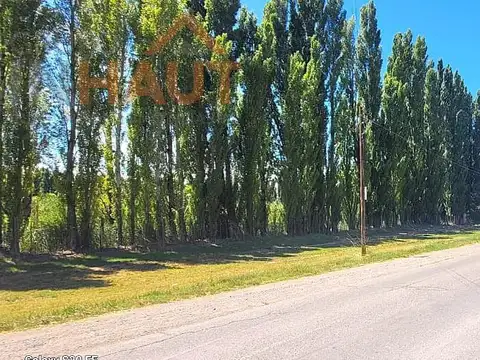 TERRENO A LA VENTA EN LA QUINTA 1