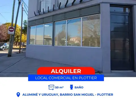 LOCAL COMERCIAL EN ALQUILER - PLOTTIER