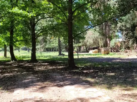 Casa en Alquiler Temporal en Parque Exaltacion, USD 2.300