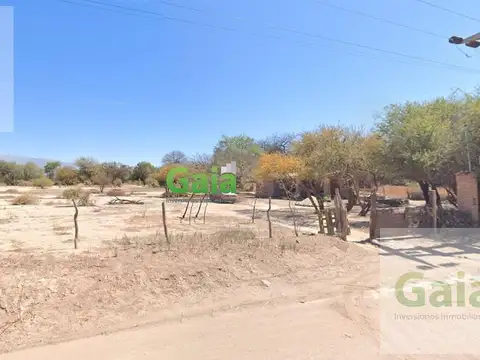 Ruta 40 - San Carlos