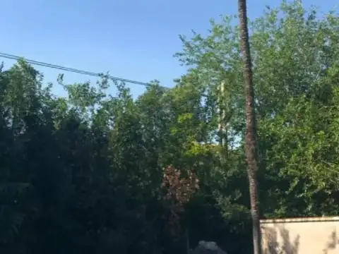 Los Claveles y Los Olmos