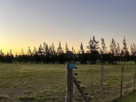 Terreno en Venta de 6540,0 m2