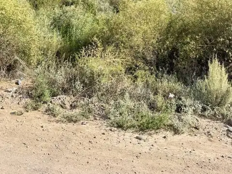 Terreno en Venta 15  mts Frente