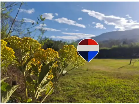 Ruta 100