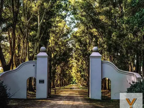 Chacras de San Andrés