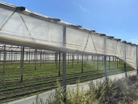 Calle 203 entre 32 y 38