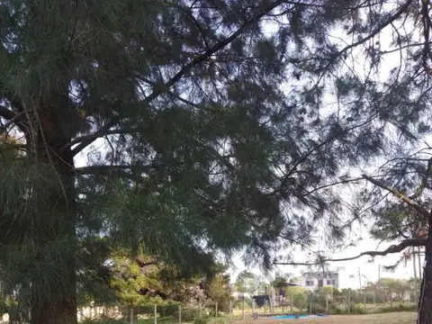 LOTE EN VENTA CON PILETA