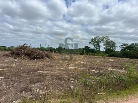 Terreno en Venta de 30161,0 m2