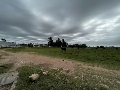Vendo Granja Avicola con 23 Hectáreas en Caseros, Entre Ríos.