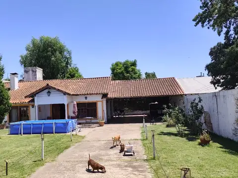 Provincia de Buenos Aires 1300