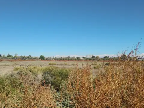 Terreno en Venta de 1000,0 m2