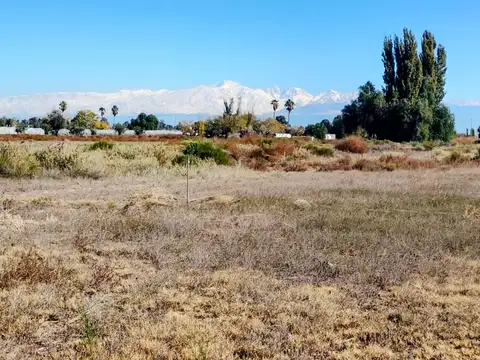 LOTE 1000M2 SOBRE CALLE SANTA CLARA, SAN ROQUE