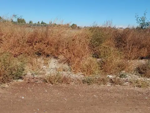LOTE 1000M2 SOBRE CALLE SANTA CLARA, SAN ROQUE