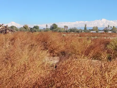 Santa Clara