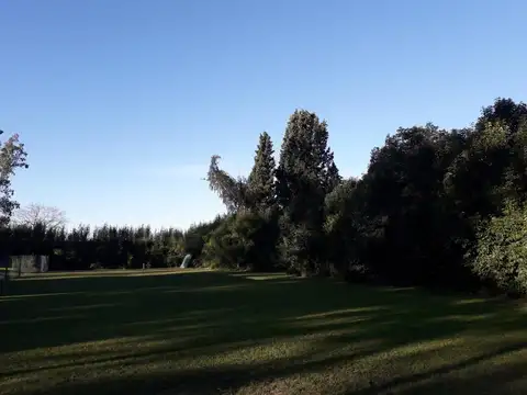 Terreno en Venta 50  mts Fondo