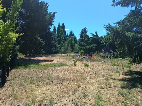 Terreno en Venta en Dina Huapi, USD 175.000