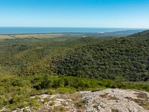Campo en Venta en Sierra de las Ánimas, Ladera sur