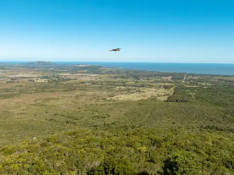 Campo en Venta en Sierra de las Ánimas, Ladera sur