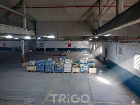 Galpon en Alquiler 5 años