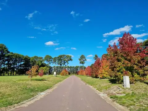 Los Pinares Country Club