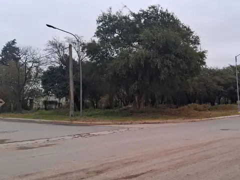 Toledo: Terreno sobre acceso a Autopista 1500 m2