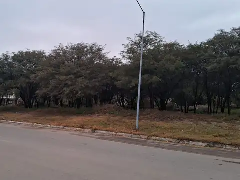 Toledo: Terreno sobre acceso a Autopista 1500 m2